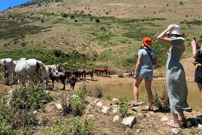 1-Day Tour in Blue Eye, Monastery, Gjirokaster and Lekursi Castle - Price and Value: What You Pay, What You Don’t, and Why It Still Works