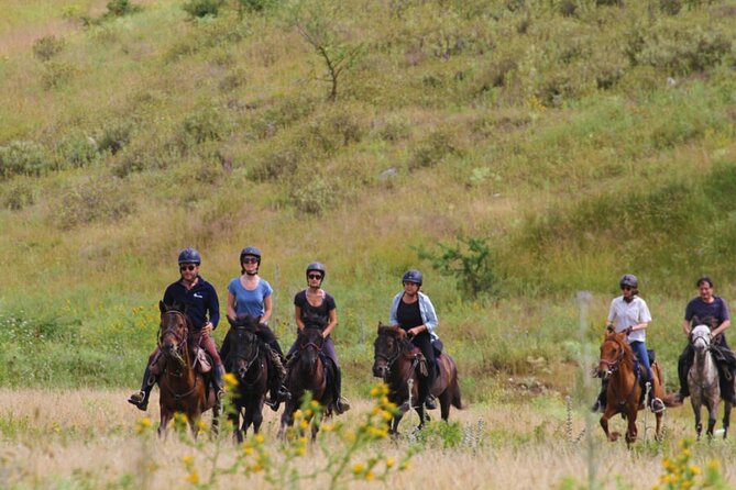2-Hours Guided Drino's Valley Ride - Birdwatching on horseback: Egyptian vulture and golden eagle territory