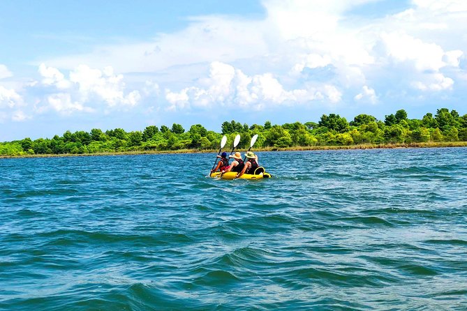 Albania Birdwatching, Kayaking, Bicycle National Park Divjaka Karavasta(ARG) - Key things to know before you go