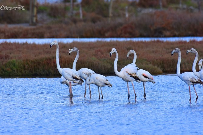 Albania Birdwatching, Kayaking, Bicycle National Park Divjaka Karavasta(ARG) - The watchtower stop: seeing the lagoon at a higher angle
