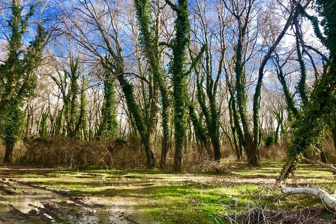 Albania Birdwatching, Kayaking, Bicycle National Park Divjaka Karavasta(ARG) - Price and value: what $62.66 really buys you