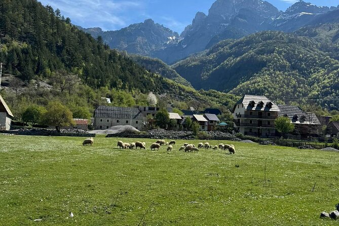 Albanian Alps and Theth Village Day Tour from Tirana - Blue Eye of Theth: The 2.5 km Hike and Time to Swim
