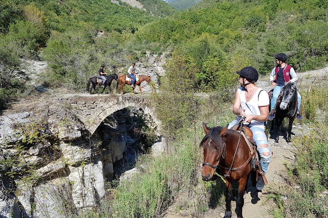 Amazing Horse Riding Experience at Vjosa National Park in Permet - How the Half-Day Flows: From Funky Guest House to Leuse