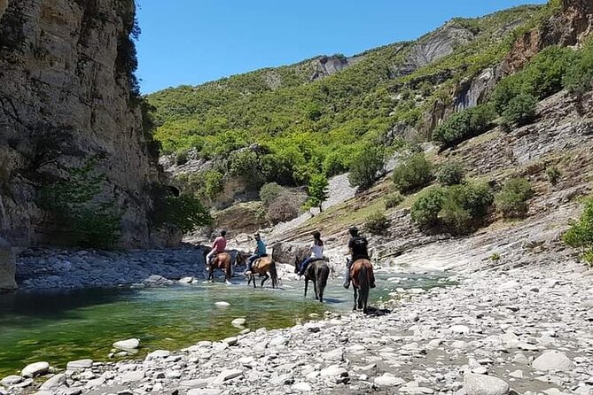 Amazing Horse Riding Experience at Vjosa National Park in Permet - Horses and Safety: Why Beginners Feel Better Here