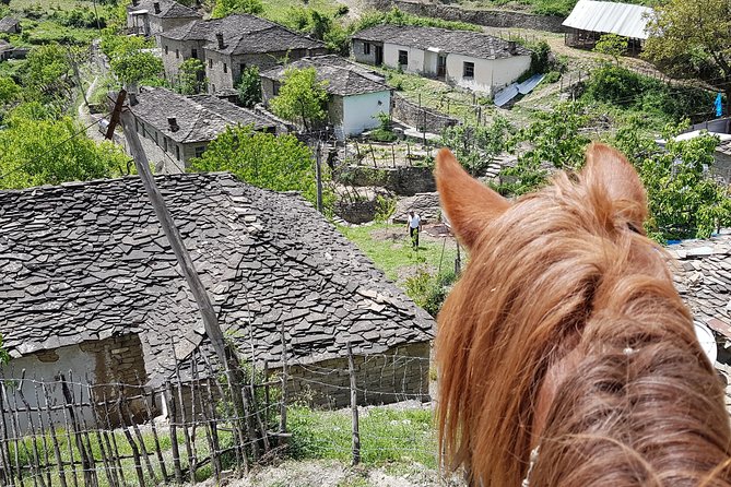 Amazing Horse Riding Experience at Vjosa National Park in Permet - Guides Set the Pace, and That’s a Big Deal for First-Timers