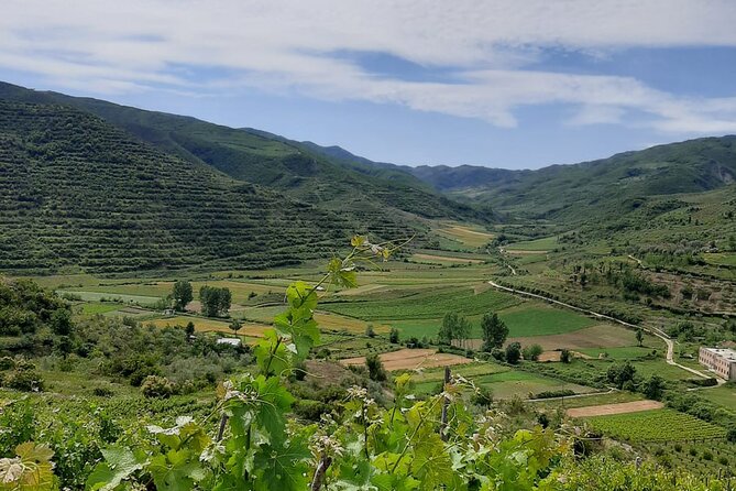 Berat 4x4 Off-Road and Vineyard Wine Tasting - Key points to know before you go