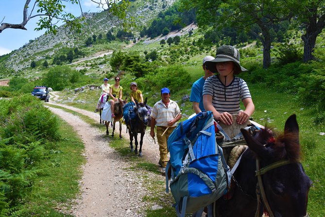 Berat Hiking Off Road picnic lunch in Tomori Holy Mount - Starting in Berat: the 9:00 am pickup and first steps of the day