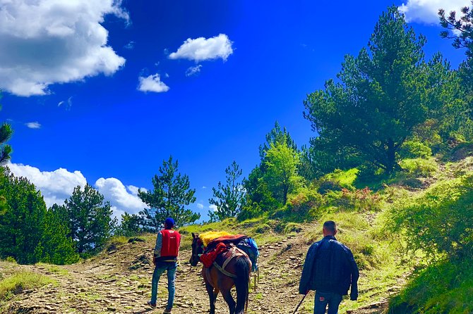 Berat Hiking Off Road picnic lunch in Tomori Holy Mount - Guides like Alma, Zamo, and Steiven: what good guidance looks like here