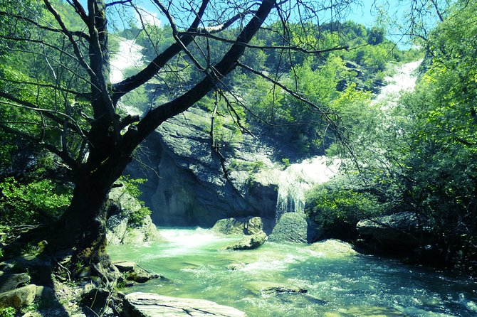 BOGOVA WATERFALL & WINERY TOUR from Berat by 1001 AA - Nurellari Winery Cellar: tasting grapes you cannot get elsewhere