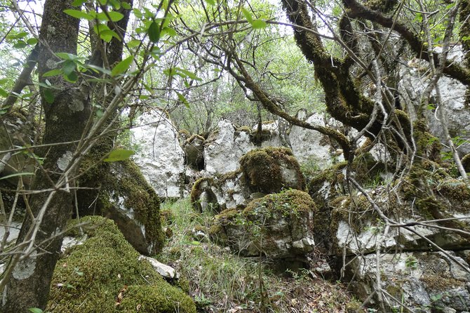 BOGOVA WATERFALL & WINERY TOUR from Berat by 1001 AA - What the tasting includes, and why the food pairing helps
