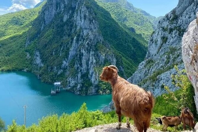 Bovilla Lake and Gamti Mountain Tour from Durres or Golem - Price Value: $35 for Transport, Guide, and Mountain Access