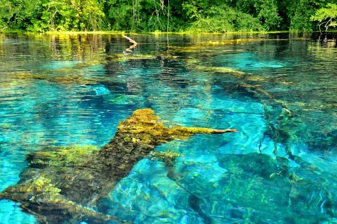Butrint, Ksamil, Blue Eye, Lekuresi Castle. All-in-one daytrip. - Stop 1, Butrint National Park: where your guide adds real value
