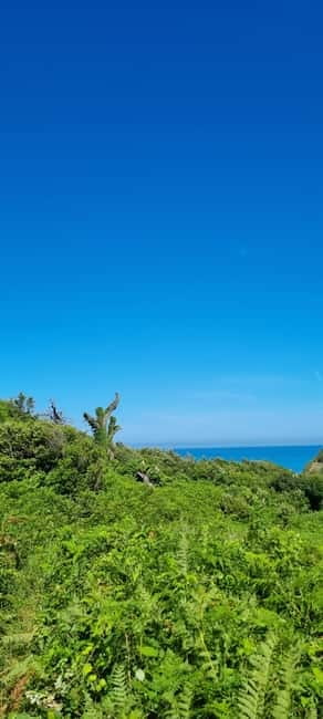 Cape of Rodon, Hiking to Castle, Beach, Wine testing tour! - St. Anthony’s Church: where the light facade meets the quiet interior