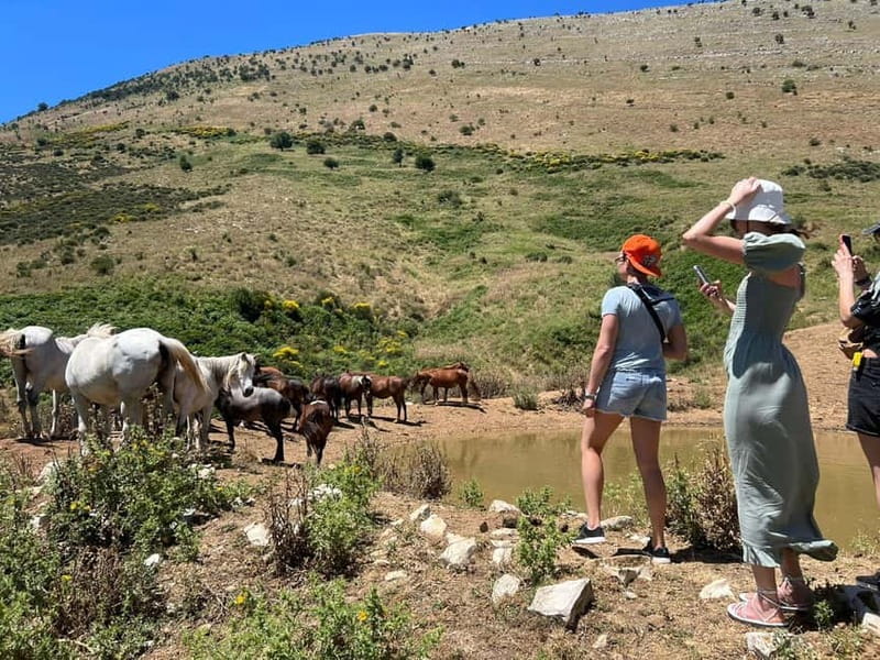 Daily Trip To:Blue Eye,Monastery,Gjirokaster&Lekursi Castle - Key points to know before you go