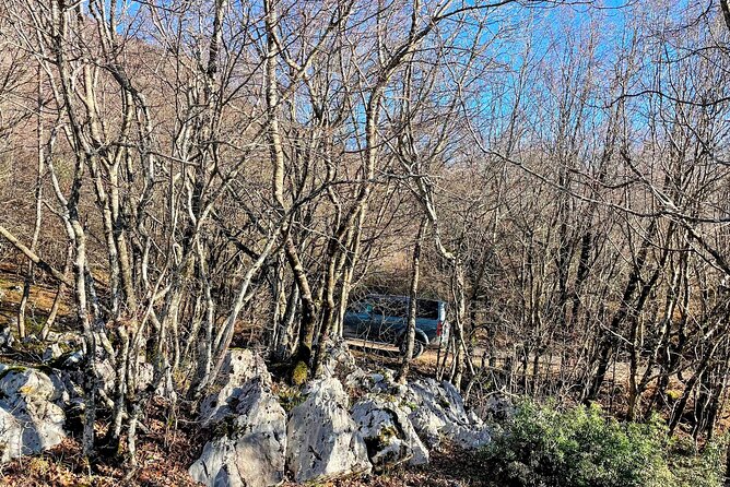 Dajti Mountain & Shengjergj Waterfall Day Trip on Land Rover - Should you book the Dajti Mountain and Shengjergj Waterfall Land Rover trip?