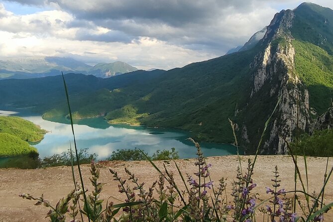 Day Trip to Bovilla Lake and Kruja city (from Tirana) - Stop 3: Kruja Castle walk-up, free entry time, and lunch options inside
