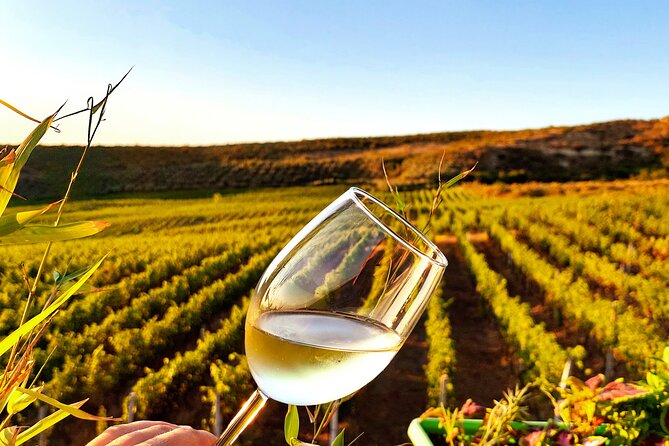 Durrës Countryside Vineyard Experience with Wine & Food Pairing - Getting the wine backstory first: Durrës and centuries of grape culture