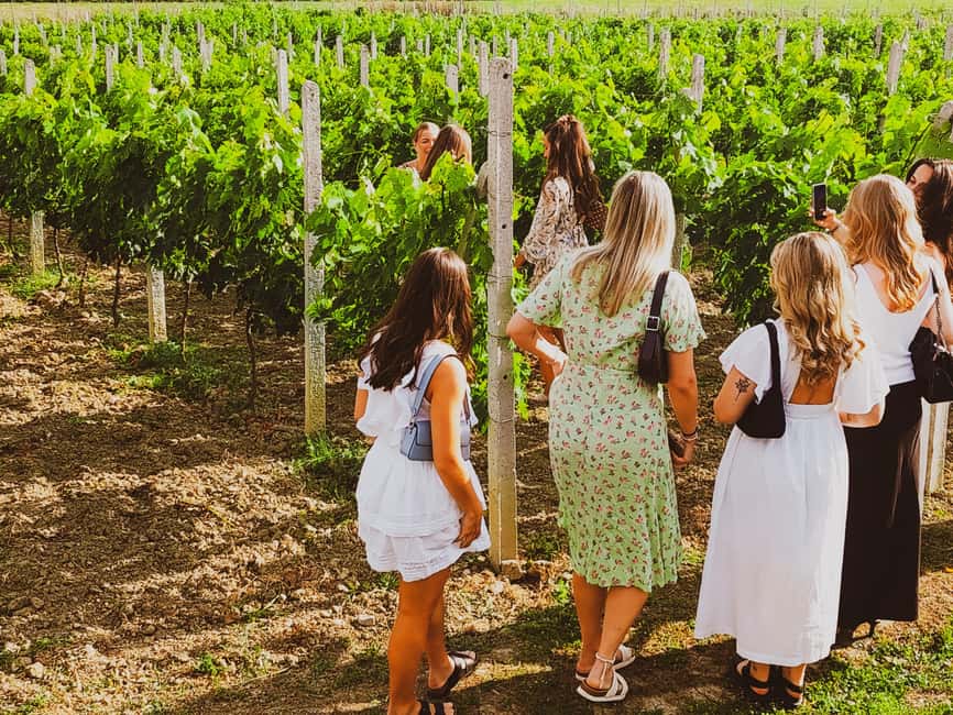 Durres Countryside Vineyards Wine Tasting & Food Pairing - Getting From Durrës Pickup to the Vineyards Without Losing Time