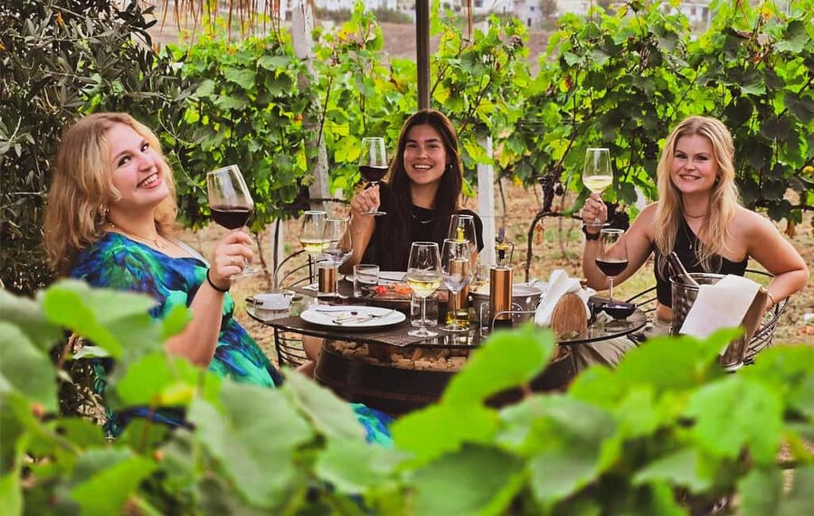 Durres Countryside Vineyards Wine Tasting & Food Pairing - The Vineyard Stroll: Terroir, Indigenous Grapes, and Learning in Plain Sight