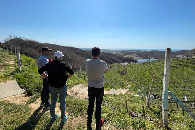 Durres & Wine Tasting Tour - Return to Tirana or Durres, and how to plan your afternoon