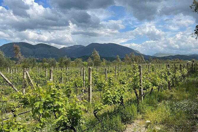 Experience Blue Eye , Lekuresi Castle and Taste Traditional Albanian Wine - Price and Value: Is $95 Worth It in Real Life?