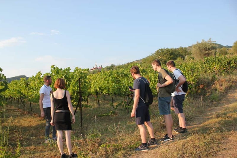 From Berat: Guided Winery Tour with Transfers and Tastings - What the winery visit feels like, vineyard to production (weather permitting)