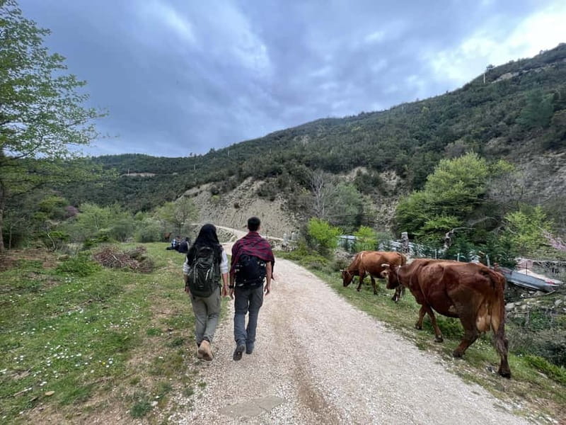 From Berat: Osumi Canyon and Bogova Waterfall tour. - Osumi Canyon and Bogova Waterfall, a one-day fix for big scenery
