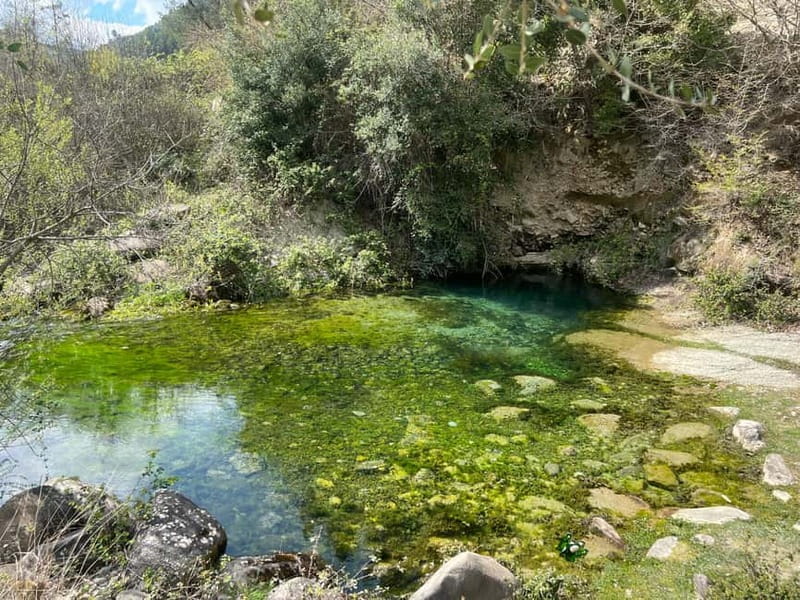 From Berat: Osumi Canyon and Bogova Waterfall tour. - Guide quality: what you’re really paying for