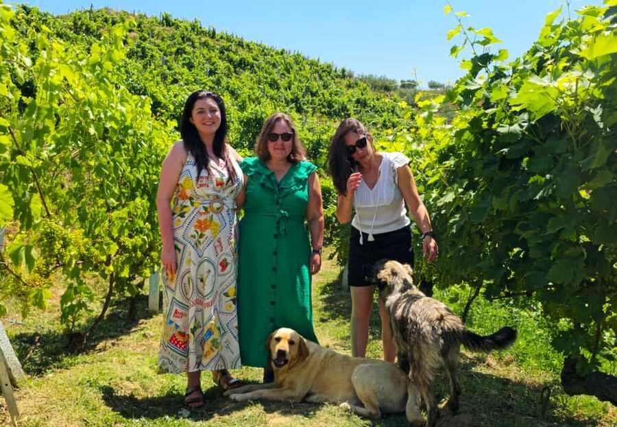 From Durrës: Albanian Wine Tasting with Vineyard & Boat Tour - Vineyard Walking Time: Where the Views and the Grapes Connect