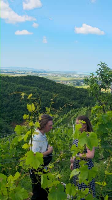 From Durrës: Albanian Wine Tasting with Vineyard & Boat Tour - Lake Cruise on the Water: Boat Ride or Canoe Backup