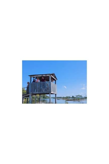 From Durres: Karavasta Lagoon & Apolonia Ancient City Tour - Karavasta Lagoon by Boat: Bird Viewing With Less Guesswork