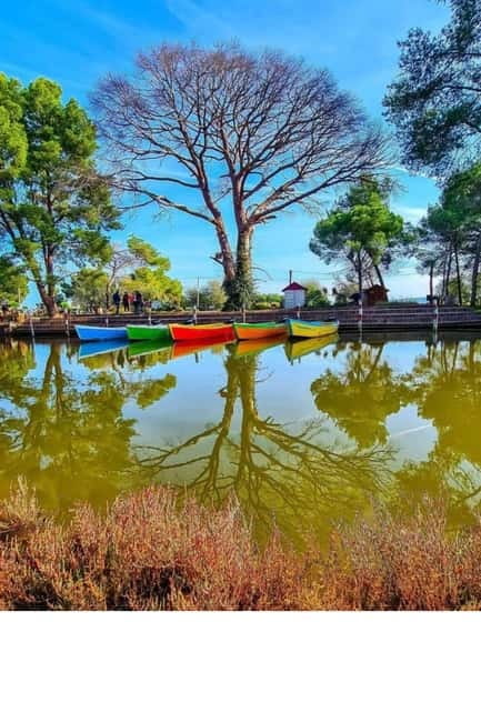 From Durres: Karavasta Lagoon & Apolonia Ancient City Tour - Who Should Book This Tour, and Who Might Not Enjoy It