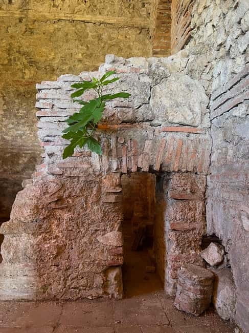 From Tirana: Berat City, Belshi Lake and Roman Baths Tour - The road between Tirana and Berat: quick scenic stops with a purpose