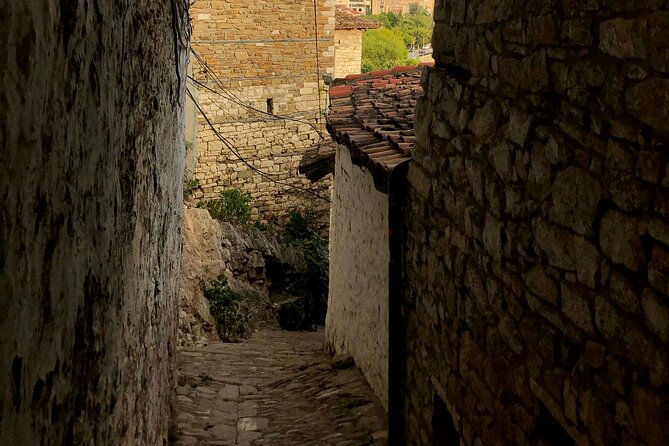 From Tirana: Berat UNESCO & Belshi Lake Full-Day Tour - Belsh and Belshi Lake time, what you can actually do