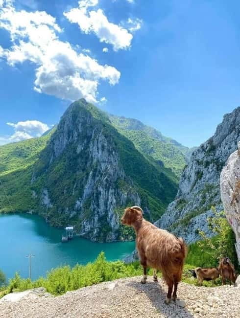 From Tirana: Bovilla Lake and Gamti Mountain Tour - Key things to know before you go