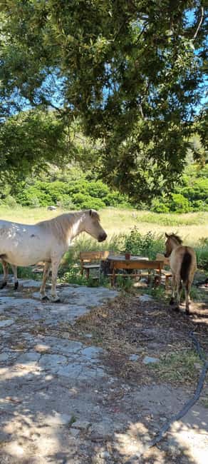 From Tirana: Cape of Rodon Sunset Photography Tour & Hiking! - What to bring: turn a good hike into a comfortable one