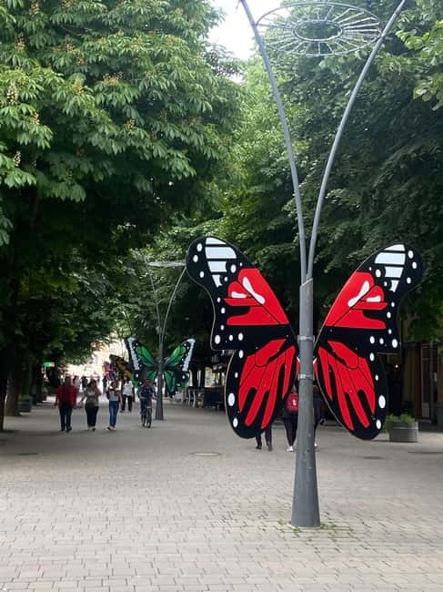 From Tirana/Durres: Korca, Voskopoja, Pogradec,Lin Day Tour - National Museum of Medieval Art and the Museum of Education