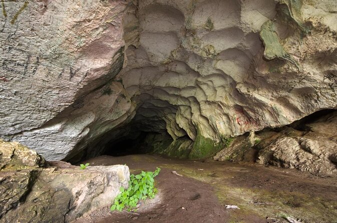 From Tirana: Hiking to Pellumbas cave and Petrela Castle - Key highlights worth showing up for