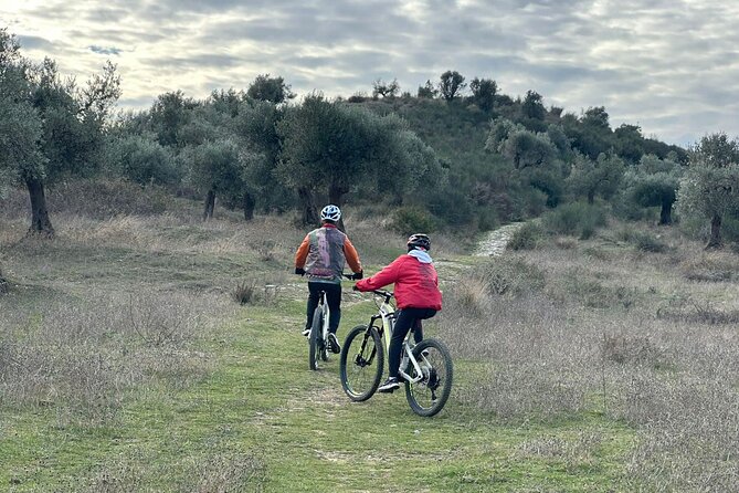 Full Day Tour in Berat Using Electric Bike - Stop 1: Drobonik, olive groves, cherry orchards, and Skanderbeg’s church