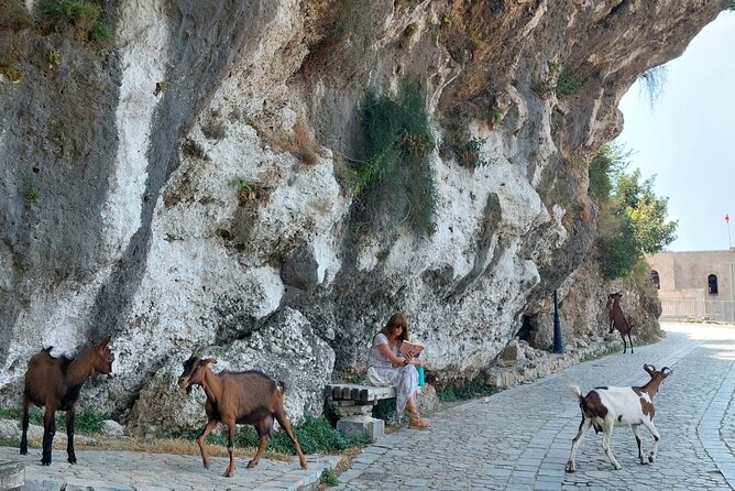 Guided Tour to Kruja, Holy Mountain & Old Bazaar from Durres - Restaurant PANORAMA Krujë: A Scenic Break for Lunch or a Late Snack