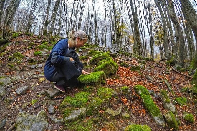Hiking Tour of Valbona, Theth & Blue Eye in 3 Days from Tirana - Day 2 is the heart of the tour: Valbona Pass to Theth on the old route