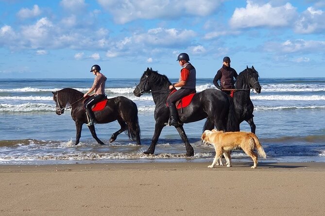 Horseback Riding Adventure in Durrës for Experienced Riders - The 4:00 pm meet point by Rinia, then back again