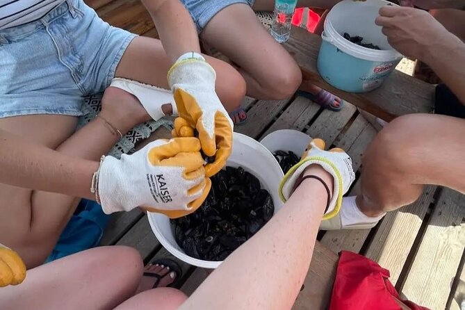 Ksamil: Mussel Sailing Tour with Food and Drink in Albania - Stop 2 at Kalivoj: Lakeside Mussels, Homemade Bread, and Local White Wine