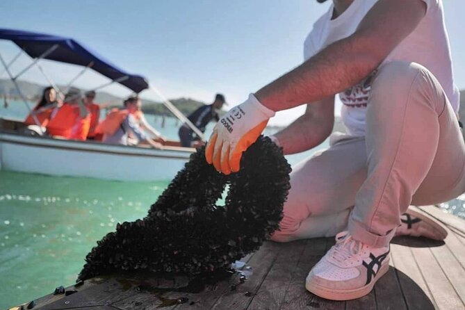 Ksamil: Mussel Sailing Tour with Food and Drink in Albania - What You’ll Actually Eat (and How the Mussels Are Prepared)