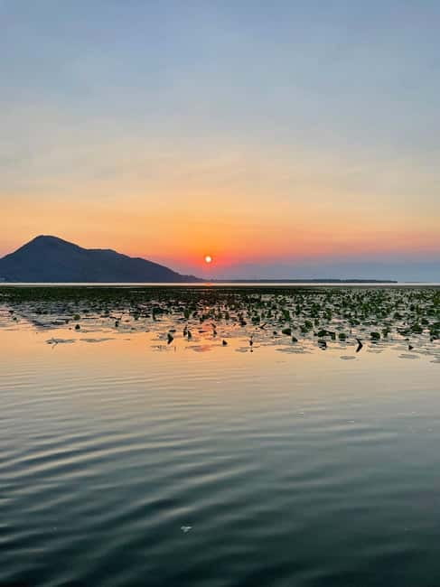 Lake Skadar Sunrise Private Tour With Guide - Key things you will notice on this Lake Skadar sunrise cruise