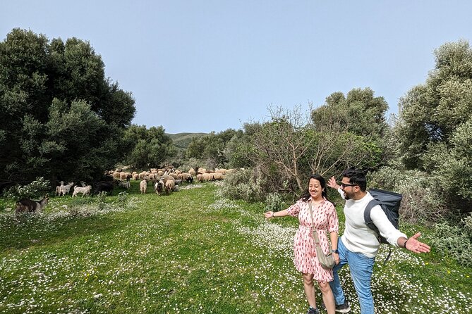 Llogara Caesar's Path,Orikum Park & Marmiroi Church Guided Tour - A half-day loop of mountain air and ancient sites near Vlore