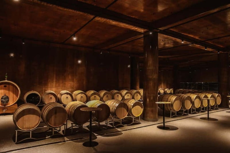 Lundër: Lundra Winery Guided Tour with Wine Tasting - The tasting: white, rosé, red, and the raki you need to try