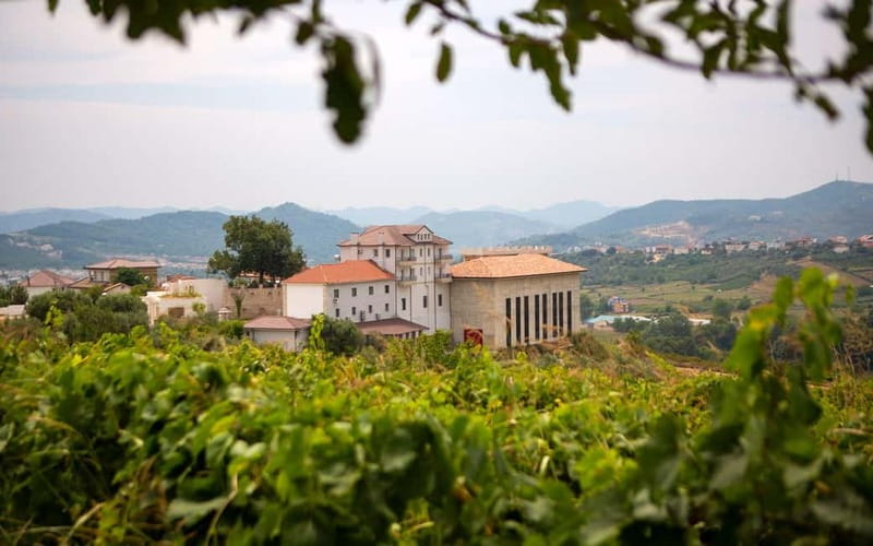 Lundër: Lundra Winery Guided Tour with Wine Tasting - The 90-minute flow, and how to time your expectations