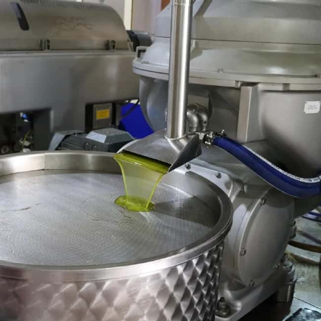 Musai Olive Oil Tour and Tasting - Price and value: is $11 for a one-hour tour fair?