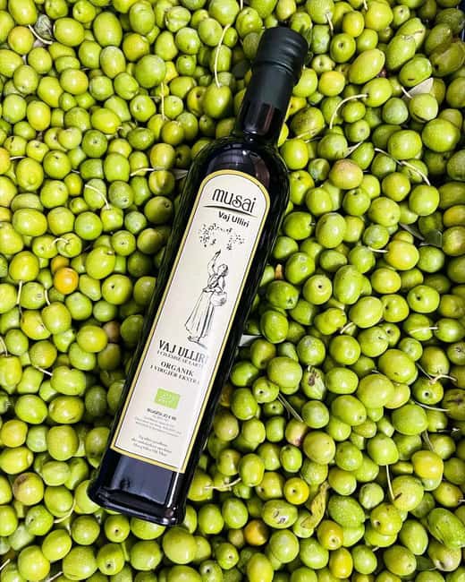 Musai Olive Oil Tour and Tasting - What you learn about harvest timing, tree age, and temperature